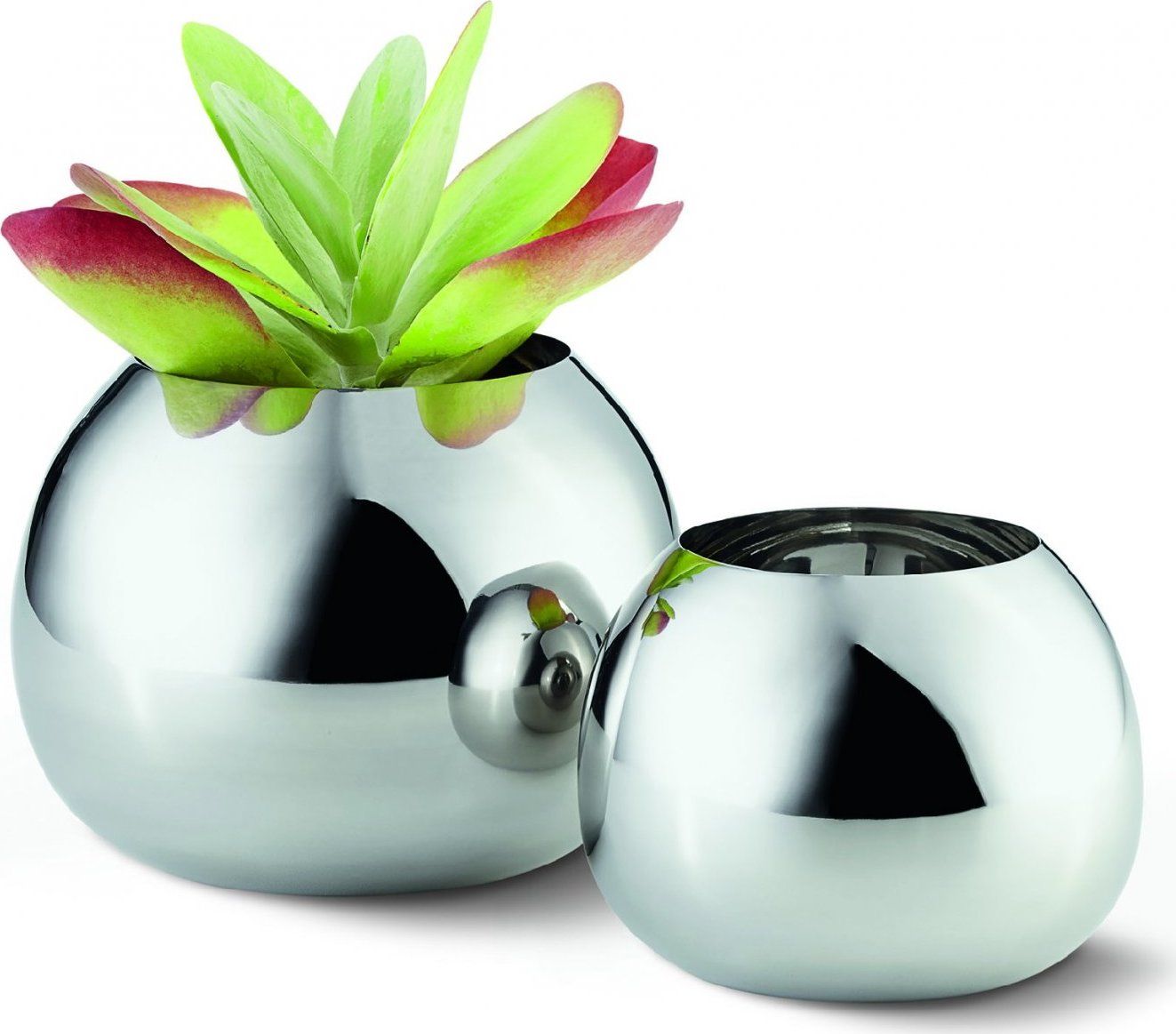 Philippi designové vázy Bella S - DESIGNPROPAGANDA