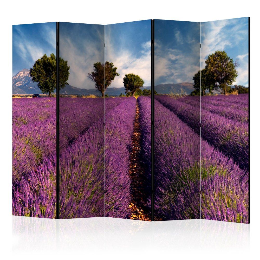Paraván Lavender field in Provence, France Dekorhome 225x172 cm (5-dílný) - DEKORHOME.CZ