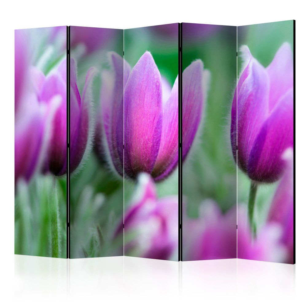 Paraván Purple spring tulips Dekorhome 225x172 cm (5-dílný) - DEKORHOME.CZ