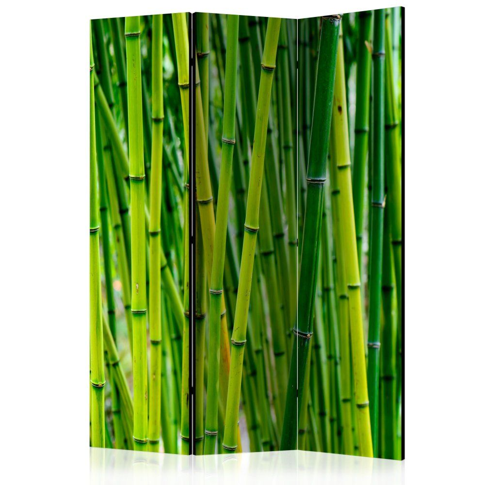 Paraván Bamboo Forest Dekorhome 135x172 cm (3-dílný) - DEKORHOME.CZ