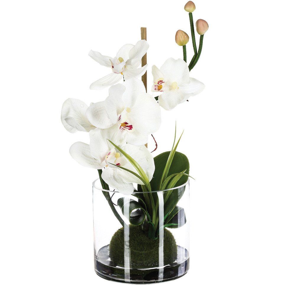 Atmosphera Umělá orchidej v skleněné váze, 37 x 18 cm - EMAKO.CZ s.r.o.