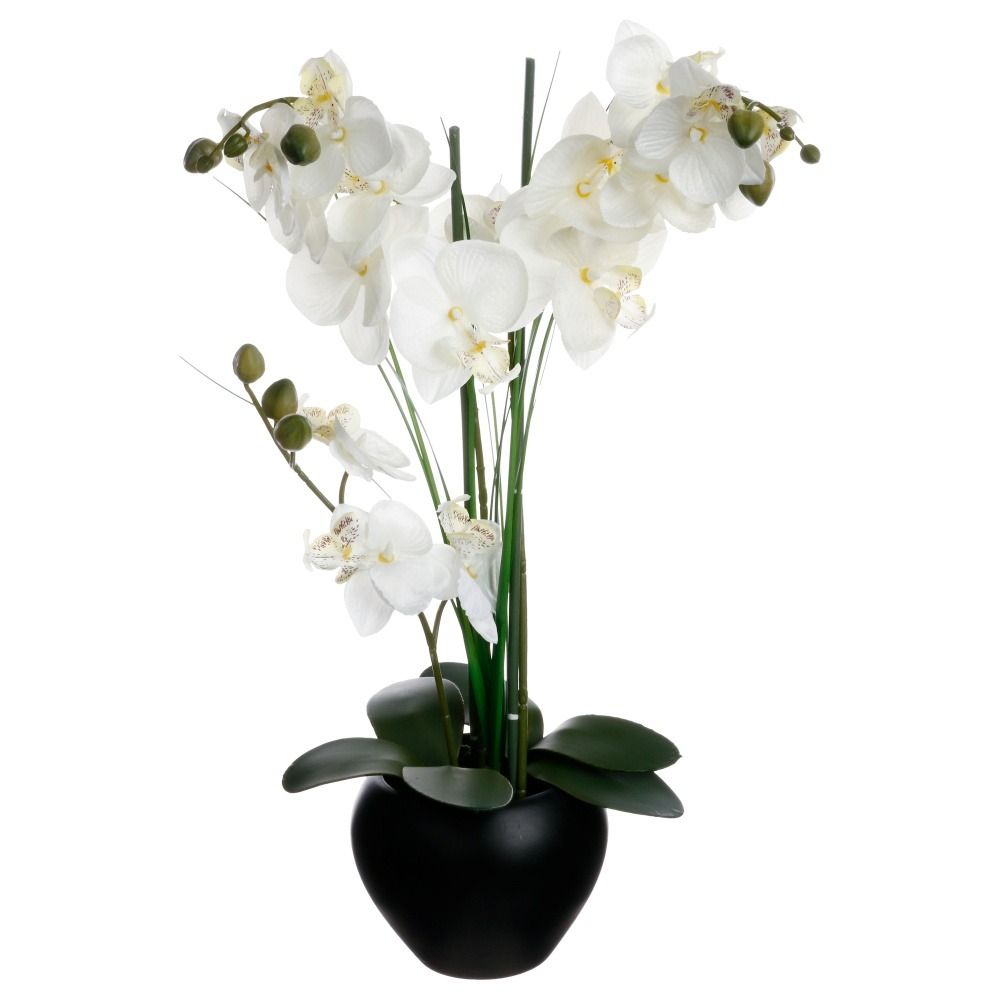 Atmosphera Umělá orchidej v černém květináči, bílá orchidej, výš. 53 cm - EMAKO.CZ s.r.o.