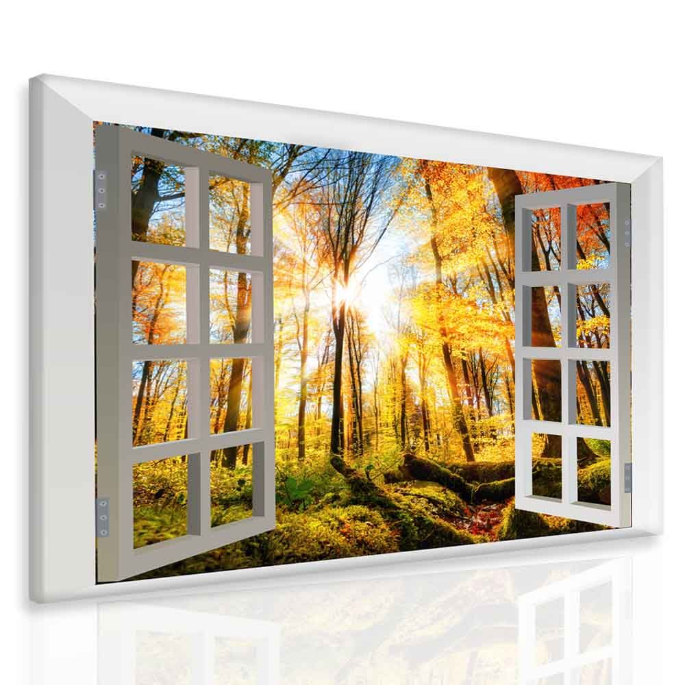 3D obraz okno ranní les Velikost (šířka x výška): 70x60 cm - S-obrazy.cz