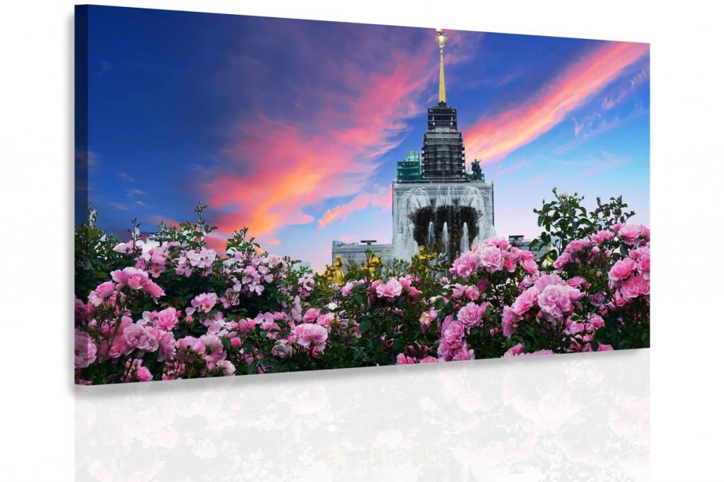 Obraz divoké růže Velikost (šířka x výška): 90x60 cm - S-obrazy.cz