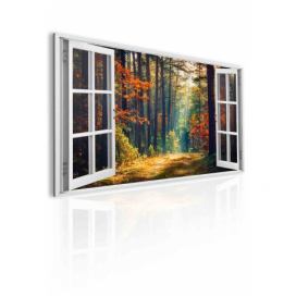 3D obraz okno les plný barev Velikost (šířka x výška): 120x80 cm S-obrazy.cz