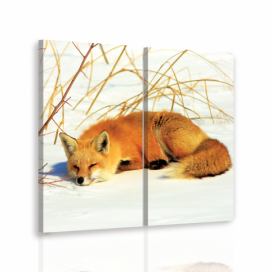 Dvoudílný obraz liška Velikost (šířka x výška): 60x60 cm