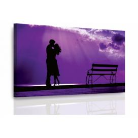 Obraz fialová romantika Velikost (šířka x výška): 90x60 cm