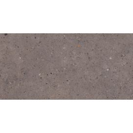 Dlažba Pastorelli Biophilic dark grey 30x60 cm mat P009501 (bal.1,260 m2)