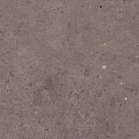 Dlažba Pastorelli Biophilic dark grey 60x60 cm mat P009456 (bal.0,720 m2)