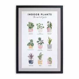 Nástěnný obraz v rámu Really Nice Things Indoor Plants, 30 x 40 cm Bonami.cz
