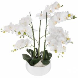 Atmosphera Umělá rostlina, umělá orchidej, bílý květináč, 65 cm