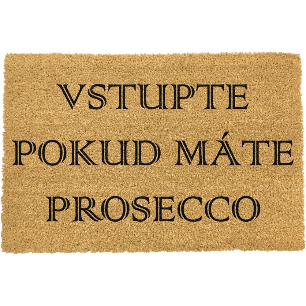 Rohožka z přírodního kokosového vlákna Artsy Doormats Prosecco, 40 x 60 cm - Bonami.cz