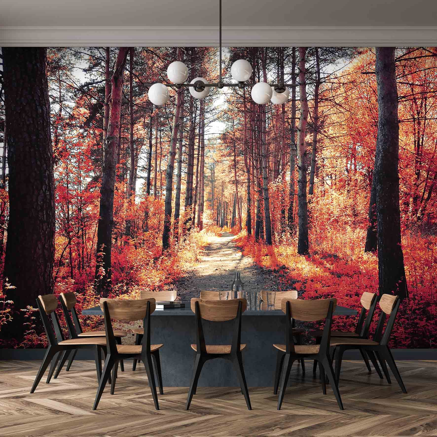 Malvis Tapeta červený podzim v lese Vel. (šířka x výška): 144 x 105 cm - S-obrazy.cz
