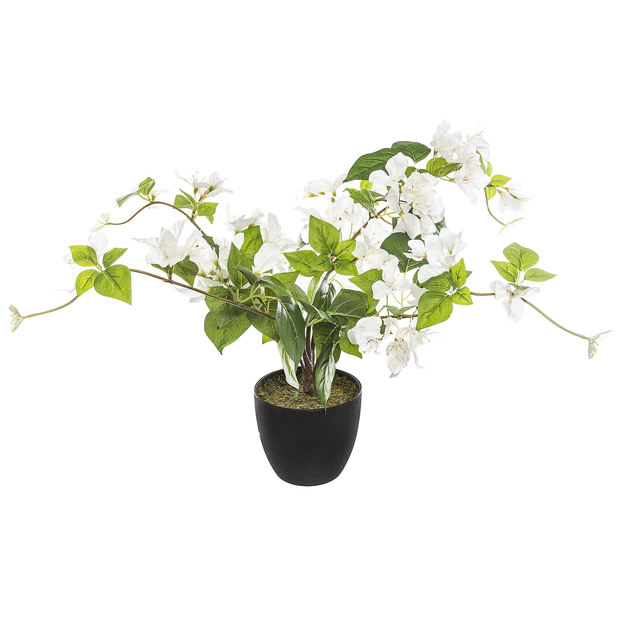 Atmosphera Umělá rostlina v květináči BUGENWILLIA, 76 cm, bílé květy - EMAKO.CZ s.r.o.