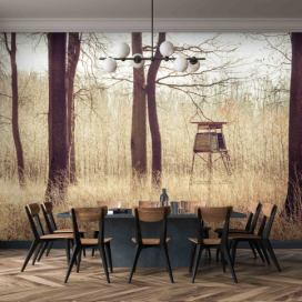 Malvis Tapeta Posed v lese Vel. (šířka x výška): 144 x 105 cm