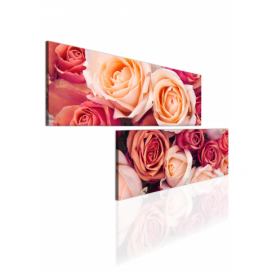 Malvis Atypický obraz růže Velikost (šířka x výška): 120x60 cm