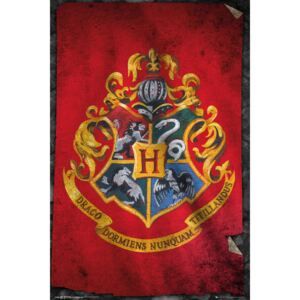 Plakát Harry Potter - Vlajka Bradavic - Favi.cz