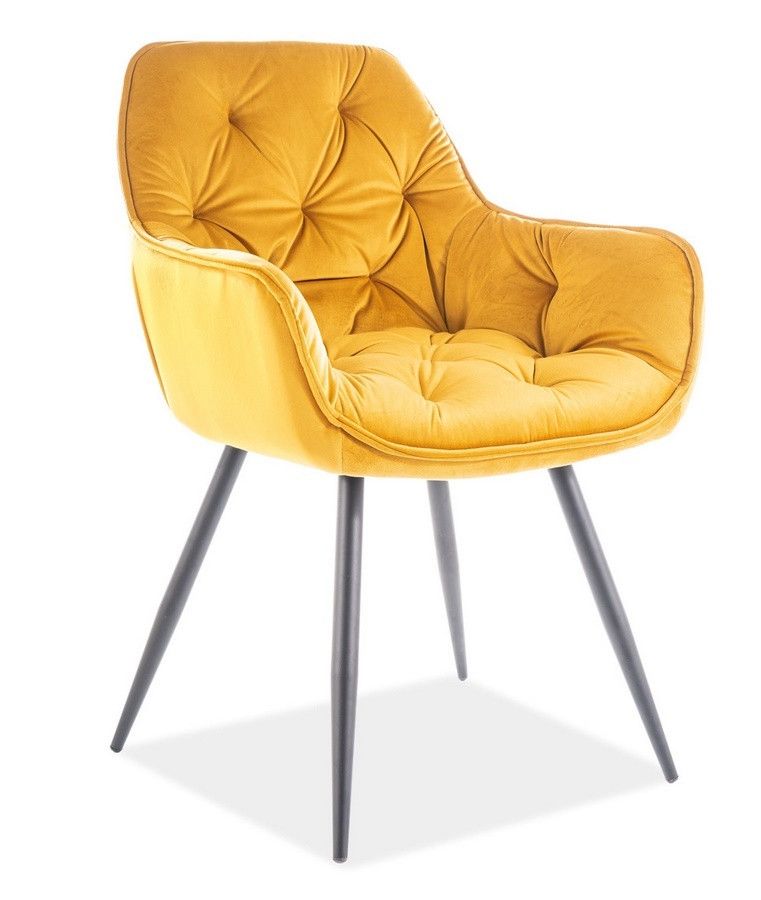 Casarredo Jídelní čalouněná židle CASA 11009 velvet žlutá curry/černá - ATAN Nábytek