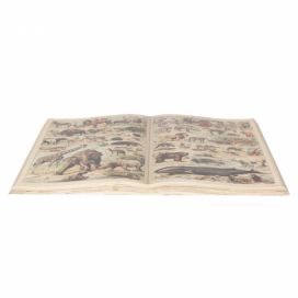 Dekorační obraz otevřená kniha se zvířaty - 65*40 cm Clayre & Eef