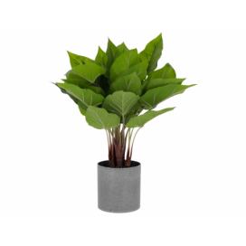 Umělá květina Kave Home Anthurium 50 cm