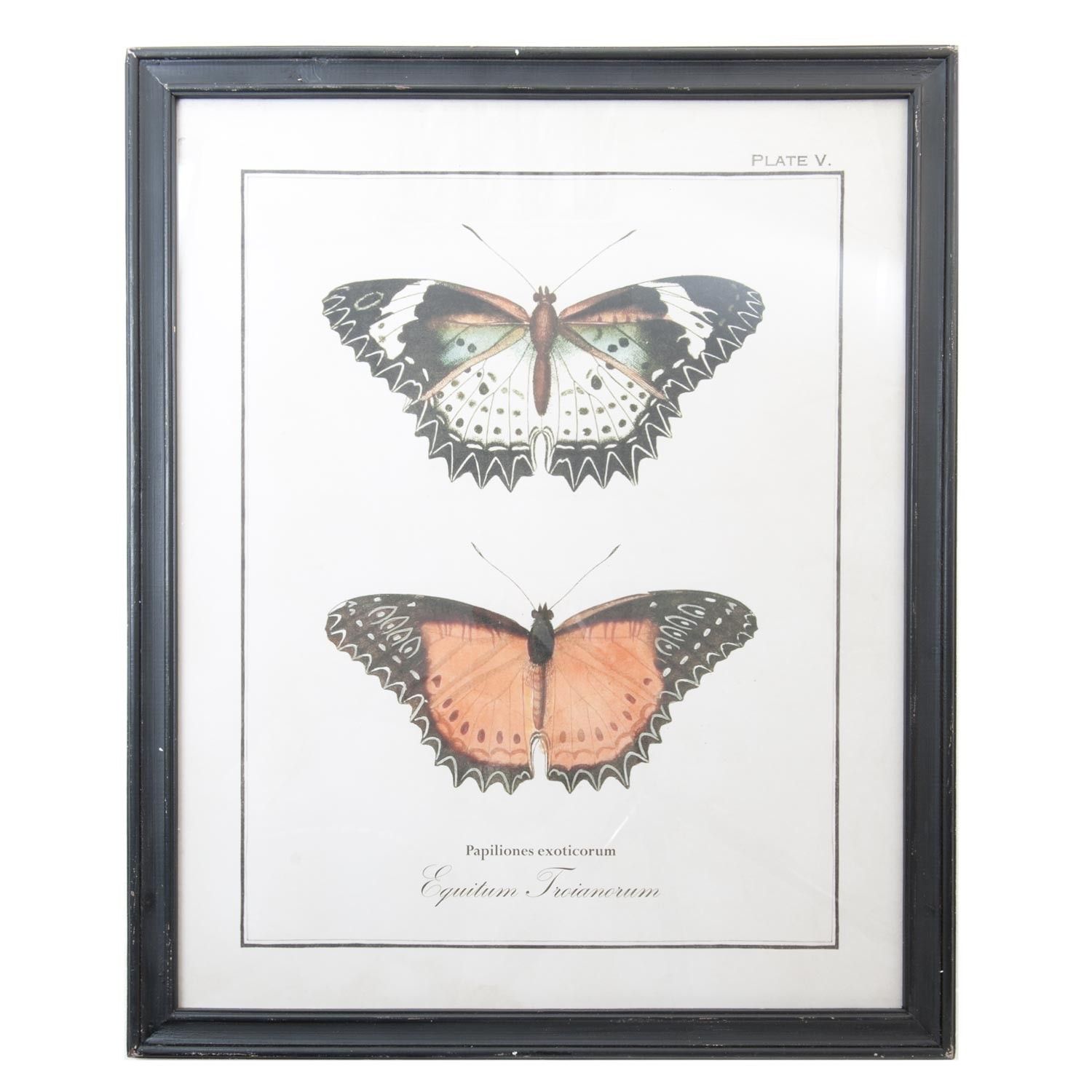 Černý dřevěný nástěnný obraz s motýly - 65*2*80 cm Clayre & Eef - LaHome - vintage dekorace
