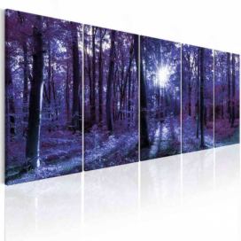 Obraz Ranní rozbřesk fialový + háčky, hřebíčky, čistící hadřík ZDARMA Velikost (šířka x výška): 150x60 cm