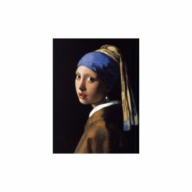 Reprodukce obrazu 30x40 cm Girl with a Pearl Earring - Fedkolor Bonami.cz