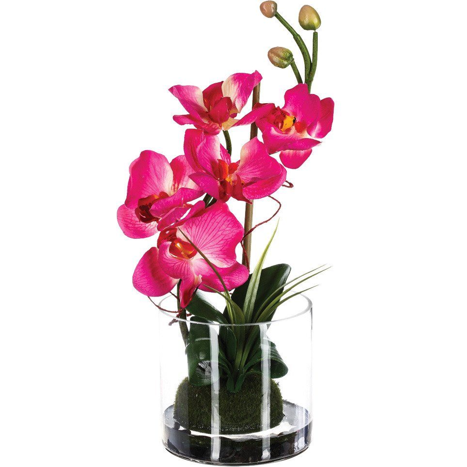 Atmosphera Růžová orchidej v skleněné váze, domácí dekorace, výška 37 cm - EMAKO.CZ s.r.o.