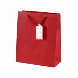 TORO Papírová dárková taška s visačkou 32x26cm