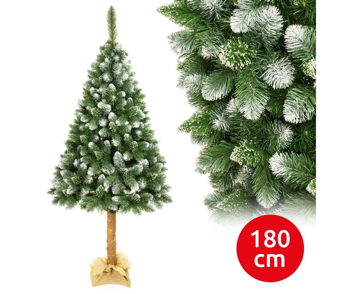  Vánoční stromek na kmenu 180 cm borovice  -  Svět-svítidel.cz
