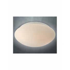 Přisazené stropní svítidlo do koupelny IBIS - 01-239 - Smarter Light