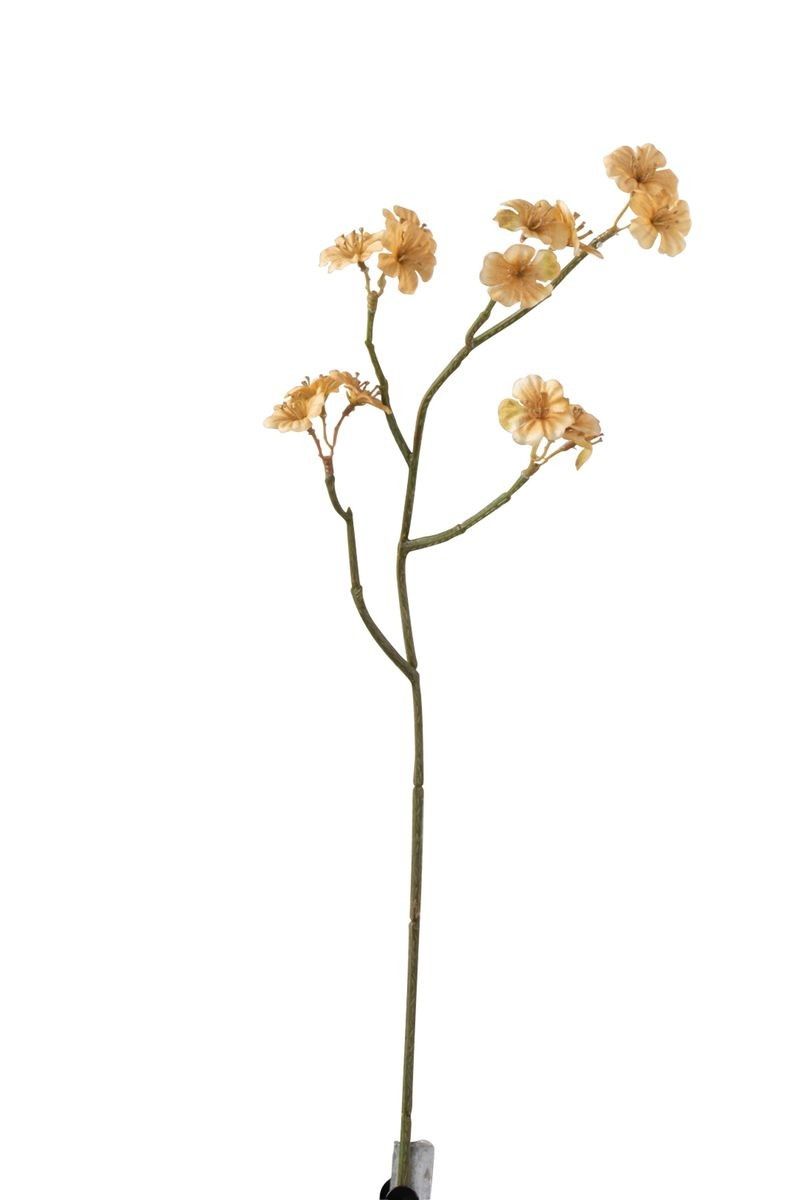 Větvička s béžovými květy Tweedia - 7*10*51 cm J-Line by Jolipa - LaHome - vintage dekorace