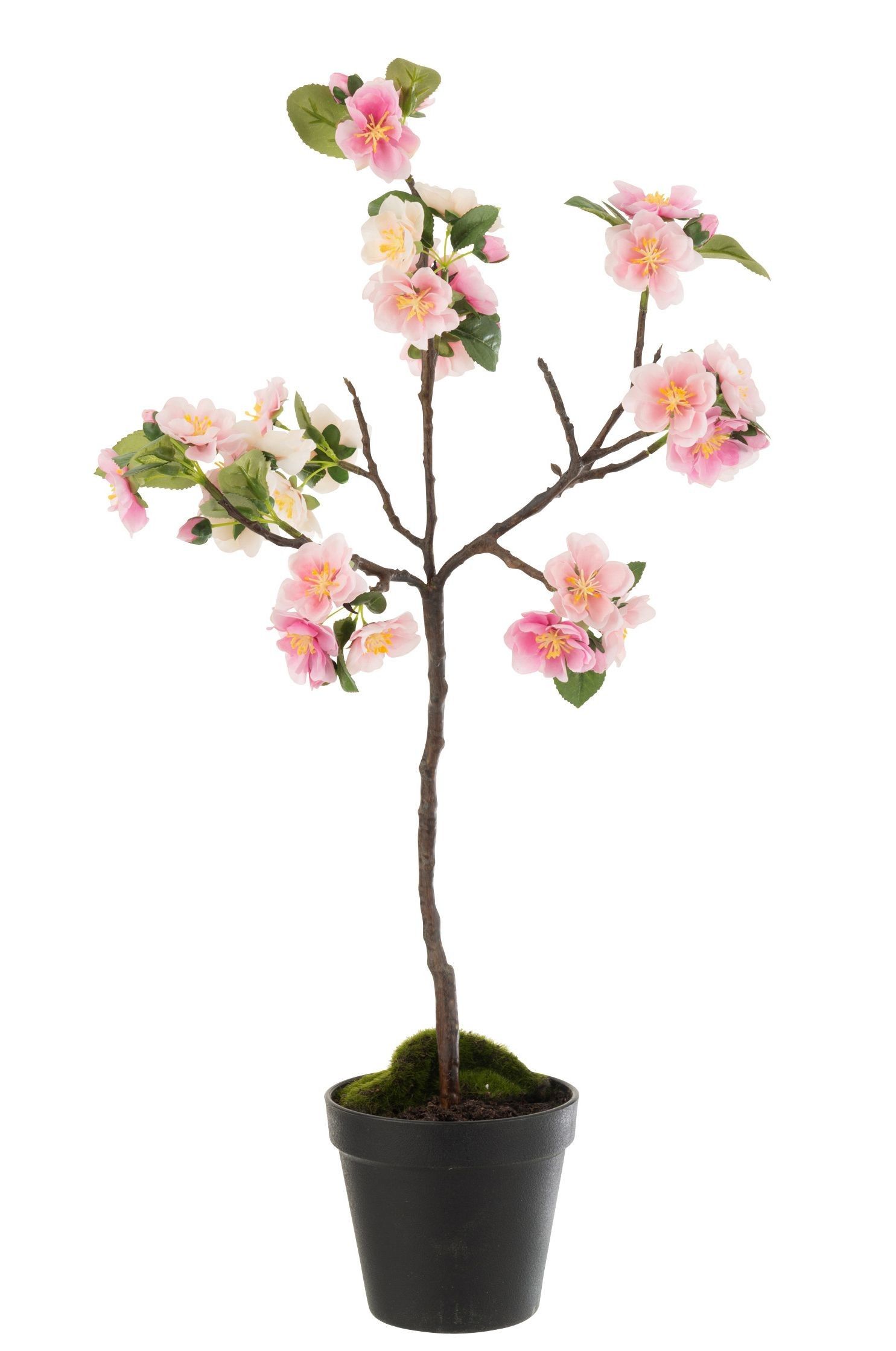 Dekorace umělý růžový kvetoucí stromek Blossom - 20*20*50 cm J-Line by Jolipa - LaHome - vintage dekorace