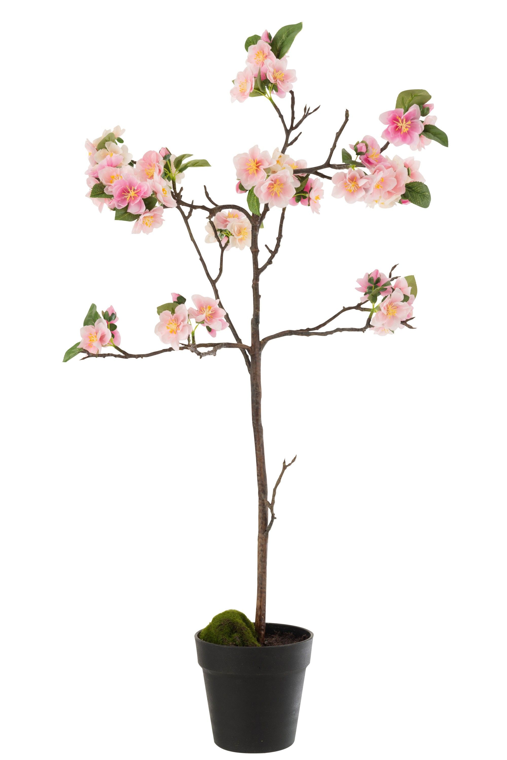Dekorace umělý růžový kvetoucí stromek - 22*22*90 cm J-Line by Jolipa - LaHome - vintage dekorace