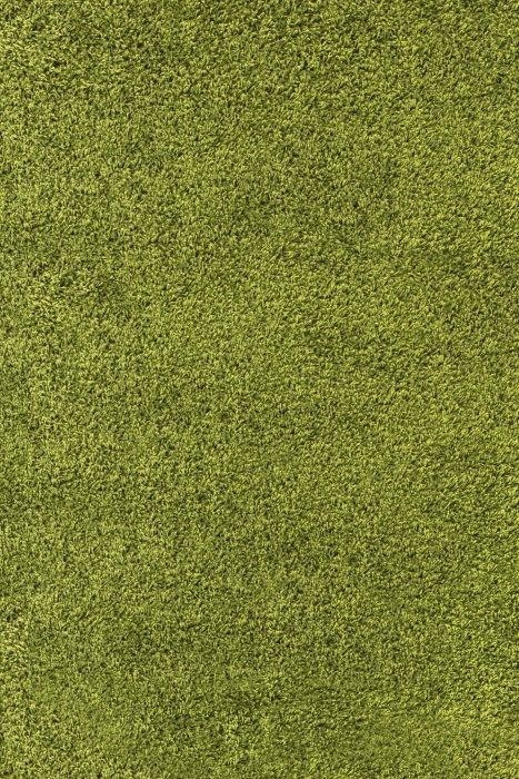Ayyildiz koberce Kusový koberec Life Shaggy 1500 green Rozměry koberců: 300x400 Mdum - M DUM.cz