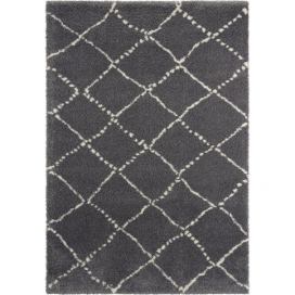 Mint Rugs - Hanse Home koberce Kusový koberec Allure 104403 Darkgrey/Cream Rozměry koberců: 200x290 Mdum