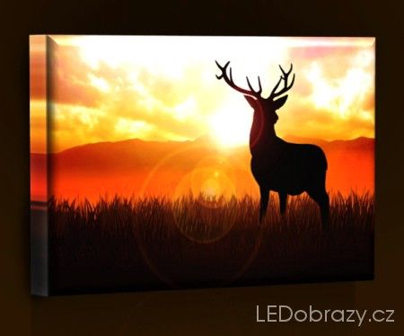 LED obraz Jelen na louce 45x30 cm - LEDobrazy.cz