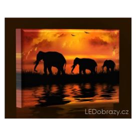 LED obraz Sloní rodinka 45x30 cm