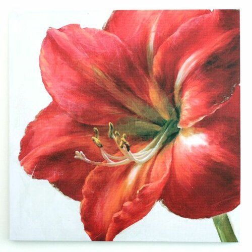 Obraz na plátně Red flower, 50 x 50 cm - 4home.cz