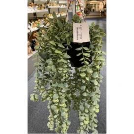 Home Styling Collection Umělá rostlina SENECIO, závěsná, 60 cm