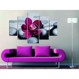 Hanah Home Vícedílný obraz Pink Flower 92 x 56 cm