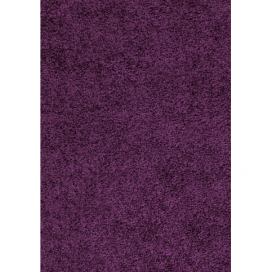 Ayyildiz koberce Kusový koberec Dream Shaggy 4000 lila - 80x150 cm