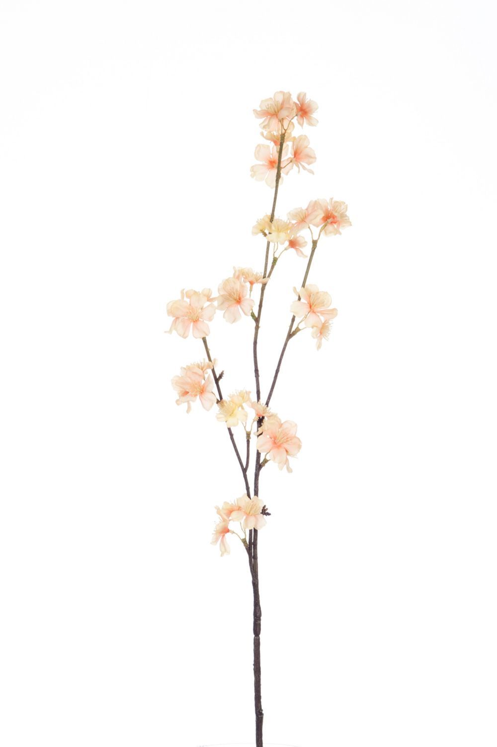 Větvička s lososovými květy Blossom - 80 cm J-Line by Jolipa - LaHome - vintage dekorace
