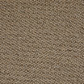 Betap koberce  Metrážový koberec Rubens 67 - Bez obšití cm