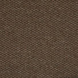 Aladin Holland carpets  Metrážový koberec Rubens 90 - Bez obšití cm