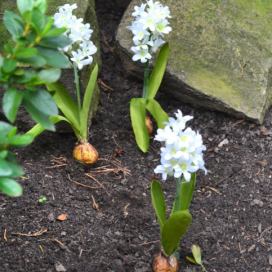 Gilde Umělá květina Hyacint s cibulí, bílý