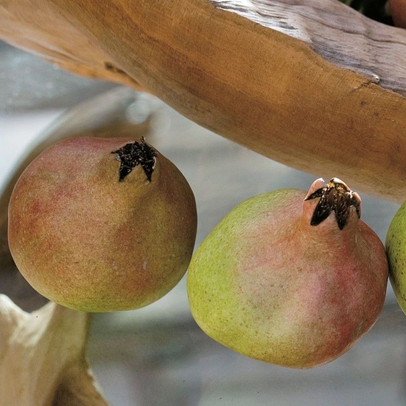 ADRIANI E ROSSI - Dekorace umělé granátové jablko 1ks - 