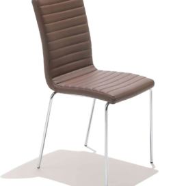 MIDJ - Čalouněná židle STAR s kovovou podnoží