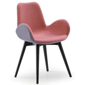 MIDJ - Dvoubarevná židle DALIA s dřevěnou podnoží a s područkami