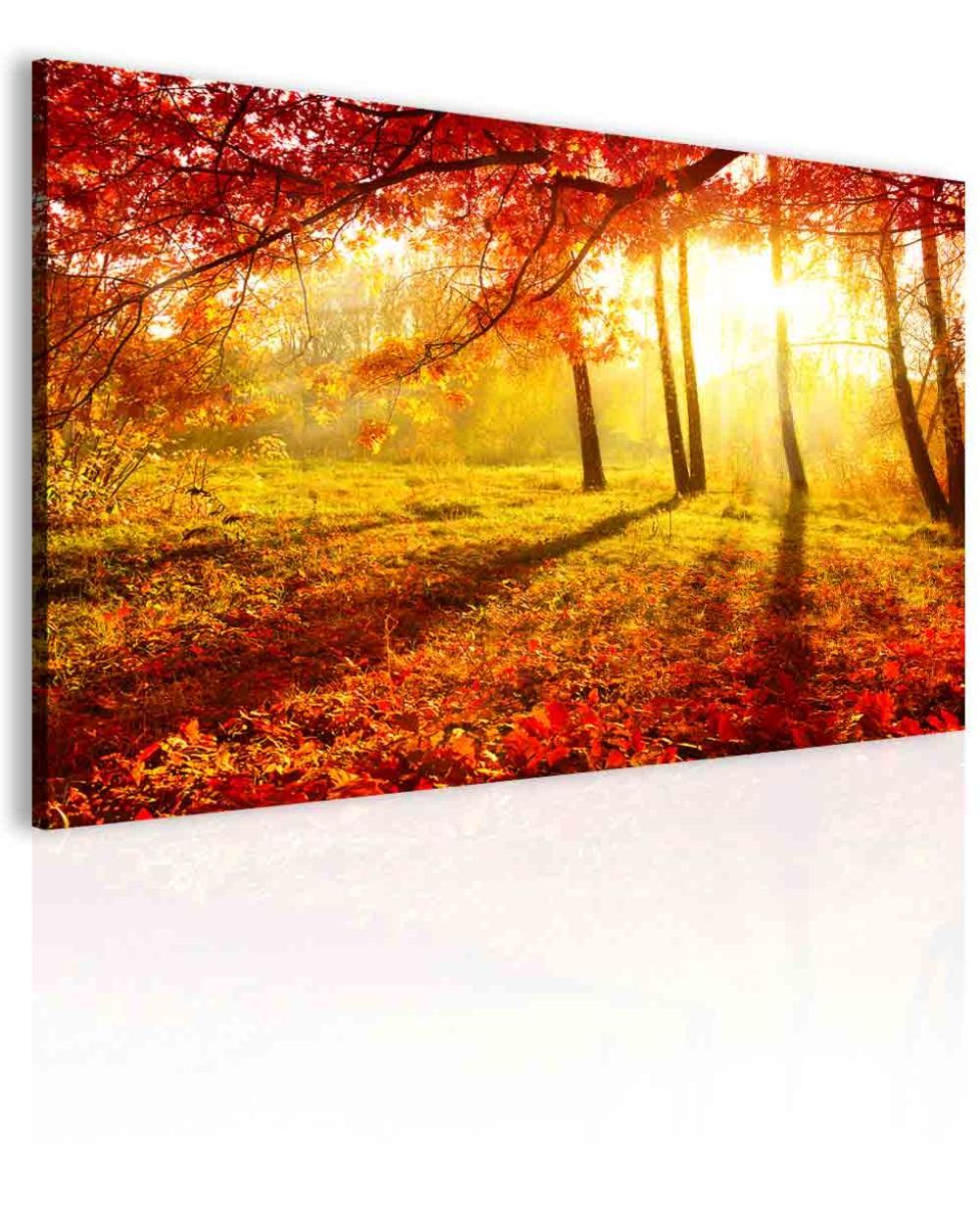 Obraz podzimní krajina Velikost (šířka x výška): 60x40 cm - S-obrazy.cz